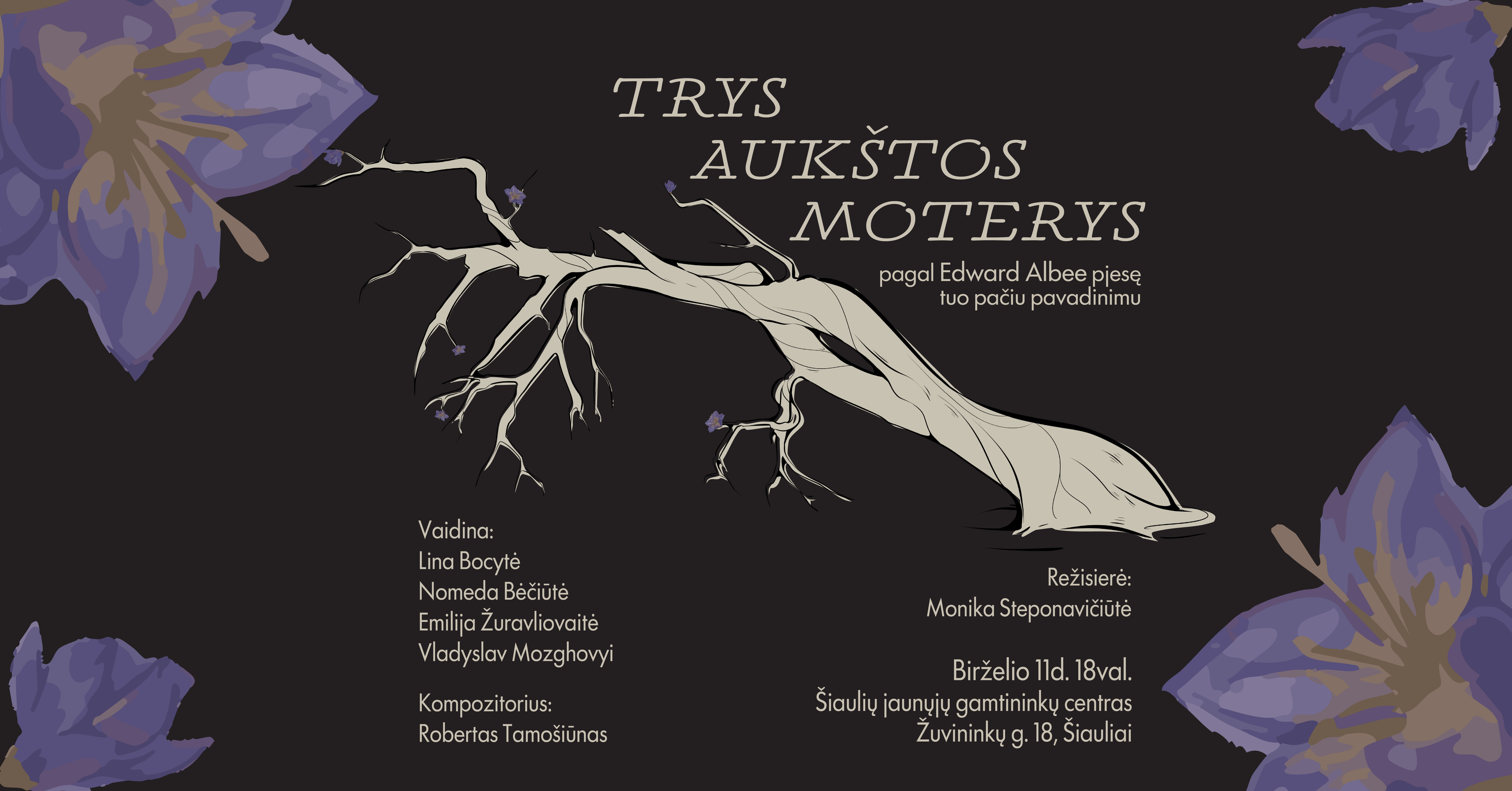 <h2 style="color:white;font-weight:800">TRYS AUKŠTOS MOTERYS | VŠDT ir LMTA Klaipėdos fakultetas<span style="color:#dd3333;font-size:0.7em;margin-left:8px">PREMJERA</span> </h2>